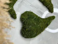 Dekoratyvinė širdis iš stabilizuotų samanų  10 vnt