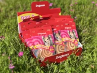 Skanėstai šunims 20vnt