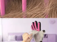 Augintinių pirštinė 