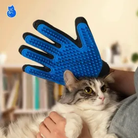 Pirštinė augintiniui