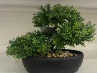 Dirbtinis medelis Bonsai 26x17x20