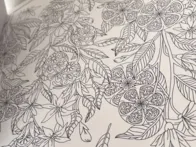 Mandalų spalvinimo knyga