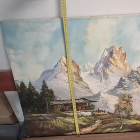 10vnt. Įvairūs paveikslai