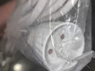 Prailgintojas 3m
