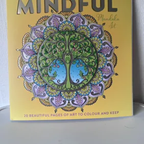 Mandalų spalvinimo knyga