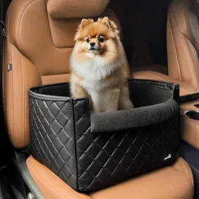 Autokėdutė-guolis augintiniui 