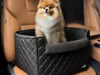 Autokėdutė-guolis augintiniui 