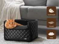 Autokėdutė-guolis augintiniui 