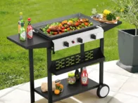 Naujas dujinis grilis