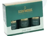 eterinių aliejų rinkinys fresh mood