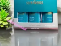 Eterinių aliejų rinkinys nature mood