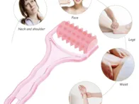 Veido ir kūno masažuoklis