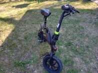 Elektrinis paspirtukas