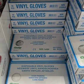 Vienkartinės pirštinės L dydis