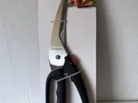 Žirklės paukštienai