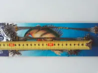 Pavadėlių rinkinys