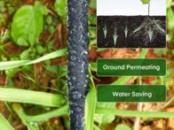 Lašelinės laistymo žarnos rinkinys 