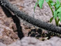 Lašelinės laistymo žarnos rinkinys 