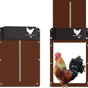 Automatinės durys vištidės