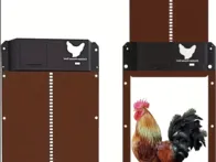 Automatinės durys vištidės