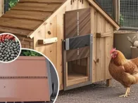 Automatinės durys vištidės