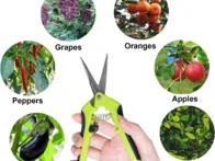 2vnt sodo žirklės sekatoriai su priedais nauja