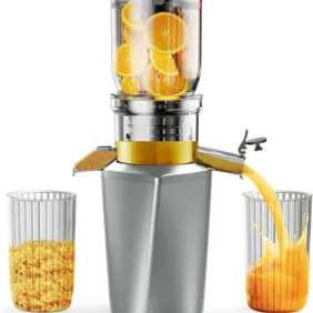 Nauja lėtaeigė sulčiaspaudė namams - Fyenkfar