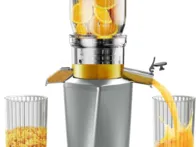 Nauja lėtaeigė sulčiaspaudė namams - Fyenkfar