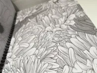 Mandalų spalvinimo knyga