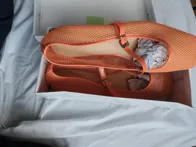 IMoteriški bateliai