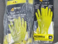 Buitinės pirštinės 10por