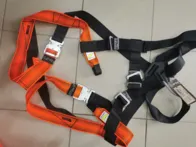 Aukštalipio diržas