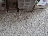 Indeliai sejimui