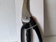 Žirklės paukštienai