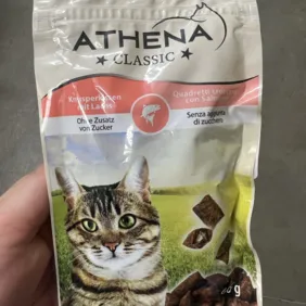 Skanėstai katėms - pagalvėlės su lašiša 60g