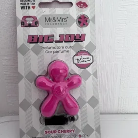 Automobilio gaiviklis - kvapukas į groteles