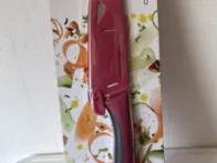 Virtuvinis peilis su apsauga