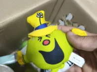 Myster box