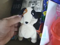 Myster box