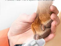 Nauja elektrinė nagų dildė gyvūnams (šunim katėm)
