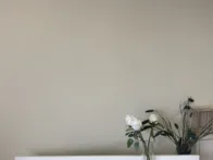 Nauja dieninė lentyna 