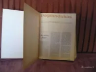 Tarybinės moters - pagrandukai