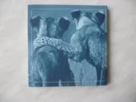 B. T. Greive - Draugai visam gyvenimui