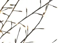 LED dekoratyvinis medis 200 cm