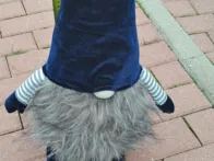Kaledinis nykstukas