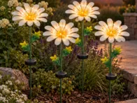 4 saulės LED šviestuvai – baltos gėlės 482-23