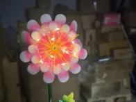 4 saulės LED šviestuvai „Pink Daisy“ 482-42