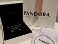 Elegantiškas sidabro spalvos „Pandora“ papuošalų r